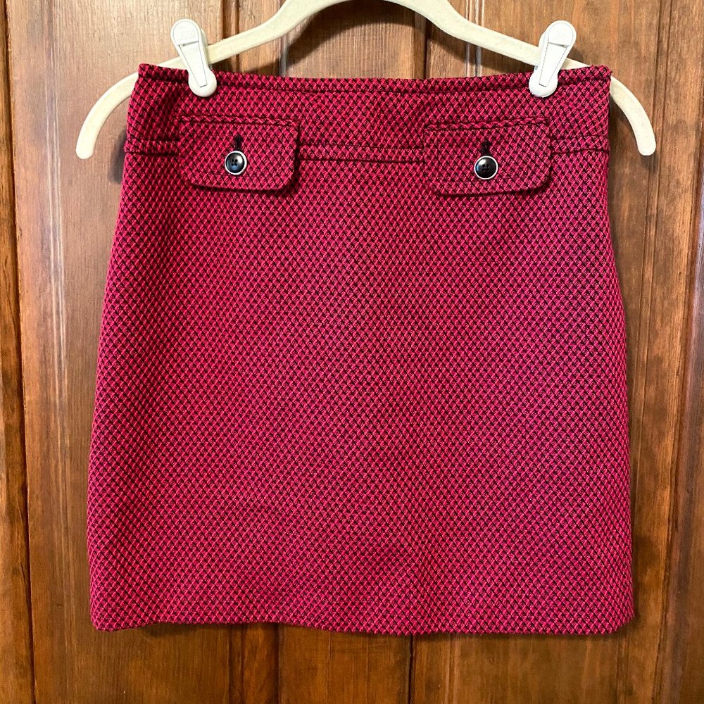Ann Taylor Loft Skirt